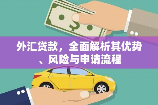 宣化外汇贷款，全面解析其优势、风险与申请流程