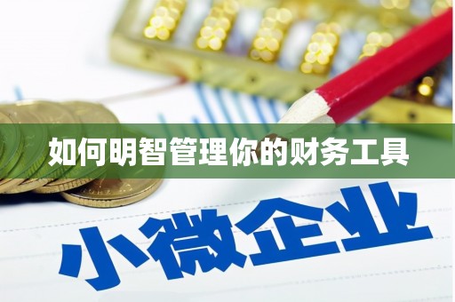 宣化如何明智管理你的财务工具