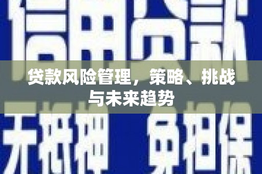宣化贷款风险管理，策略、挑战与未来趋势
