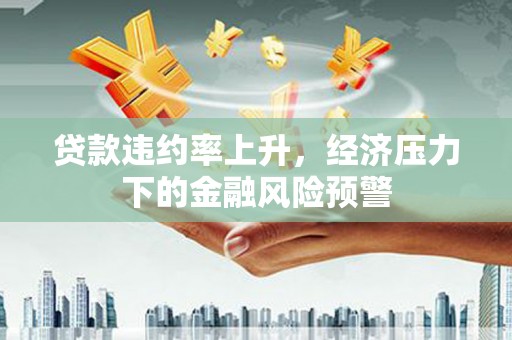 宣化贷款违约率上升，经济压力下的金融风险预警