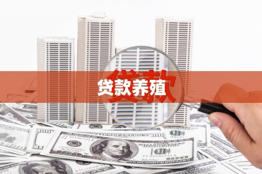宣化贷款养殖