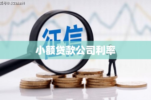 宣化小额贷款公司利率