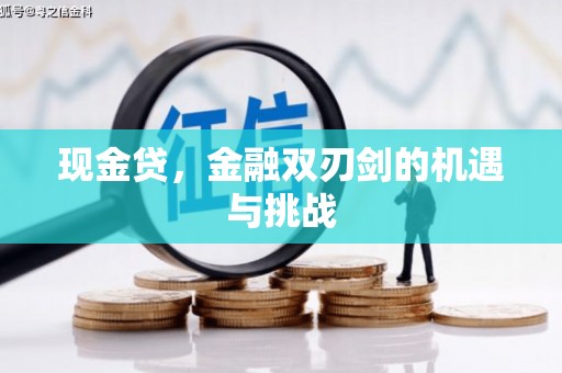 宣化现金贷，金融双刃剑的机遇与挑战