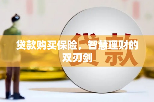 宣化贷款购买保险，智慧理财的双刃剑