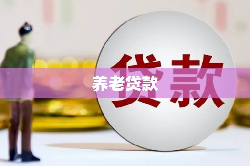 宣化养老贷款
