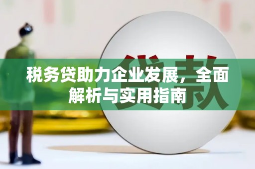 宣化税务贷助力企业发展，全面解析与实用指南