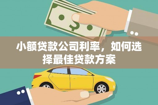 宣化小额贷款公司利率，如何选择最佳贷款方案