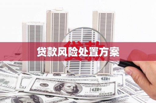宣化贷款风险处置方案
