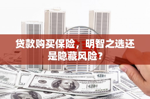 宣化贷款购买保险，明智之选还是隐藏风险？