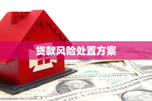 宣化贷款风险处置方案