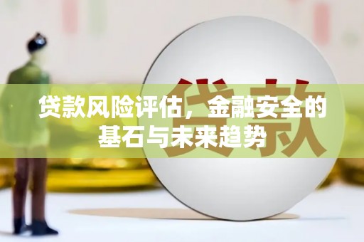 宣化贷款风险评估，金融安全的基石与未来趋势