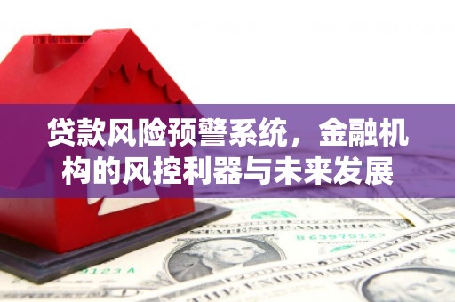 宣化贷款风险预警系统，金融机构的风控利器与未来发展