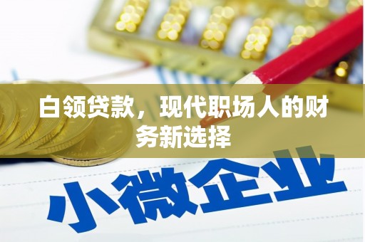 宣化白领贷款，现代职场人的财务新选择