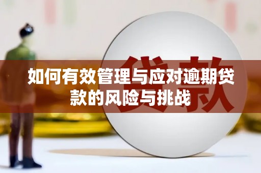 宣化如何有效管理与应对逾期贷款的风险与挑战
