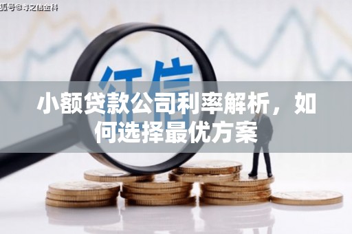 宣化小额贷款公司利率解析，如何选择最优方案