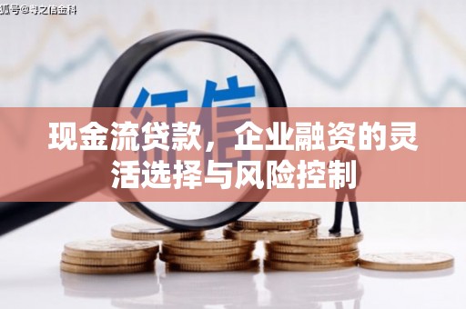 宣化现金流贷款，企业融资的灵活选择与风险控制