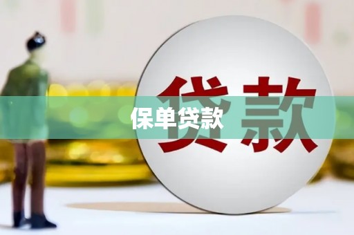 宣化保单贷款