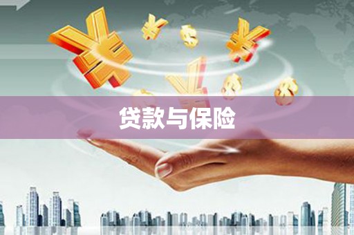 宣化贷款与保险