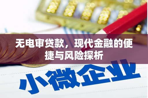 宣化无电审贷款，现代金融的便捷与风险探析