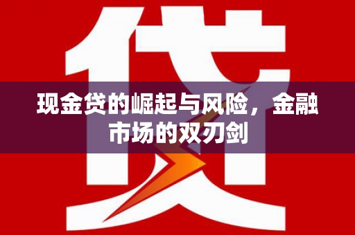 宣化现金贷的崛起与风险，金融市场的双刃剑