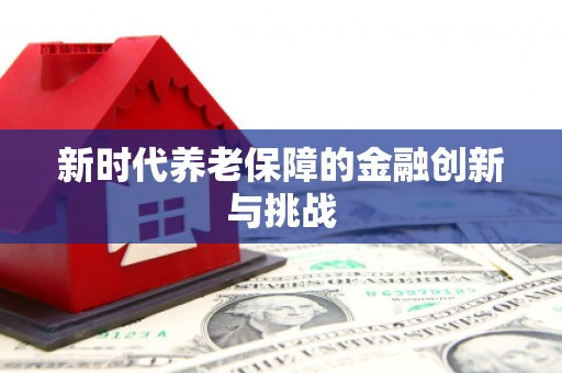 宣化新时代养老保障的金融创新与挑战
