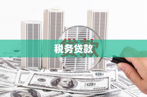 宣化税务贷款