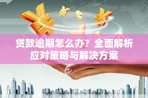 宣化贷款逾期怎么办？全面解析应对策略与解决方案