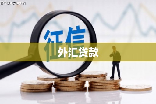 宣化外汇贷款