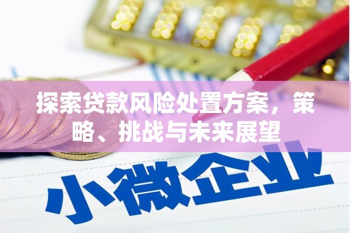 宣化探索贷款风险处置方案，策略、挑战与未来展望