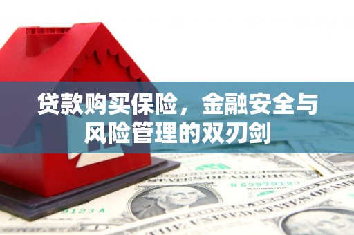 宣化贷款购买保险，金融安全与风险管理的双刃剑