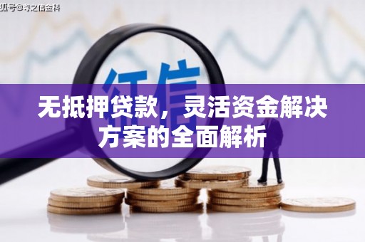 宣化无抵押贷款，灵活资金解决方案的全面解析