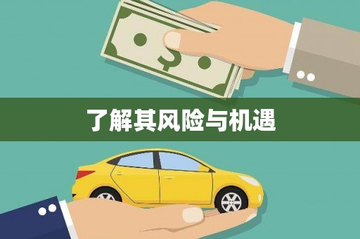 宣化了解其风险与机遇