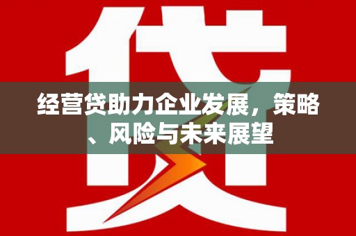 宣化经营贷助力企业发展，策略、风险与未来展望