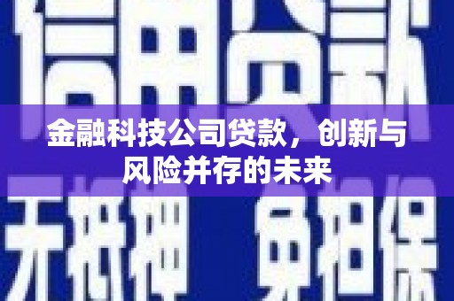 宣化金融科技公司贷款，创新与风险并存的未来