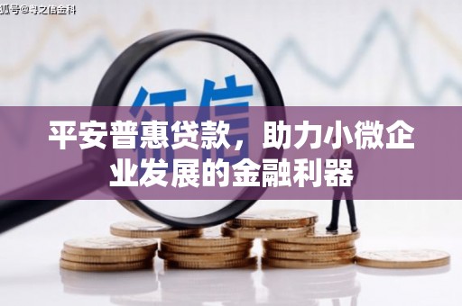 宣化平安普惠贷款，助力小微企业发展的金融利器
