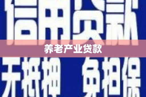 宣化养老产业贷款