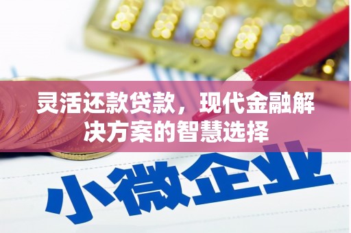 宣化灵活还款贷款，现代金融解决方案的智慧选择