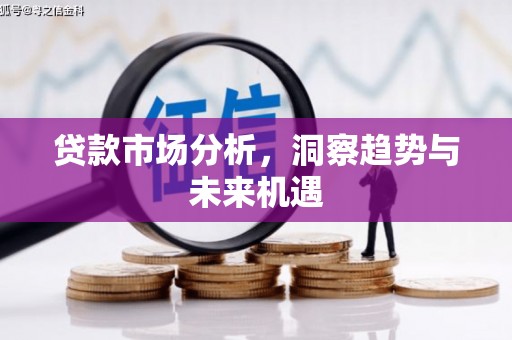 宣化贷款市场分析，洞察趋势与未来机遇