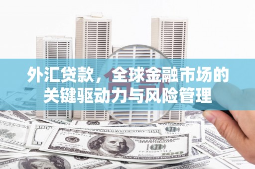 宣化外汇贷款，全球金融市场的关键驱动力与风险管理
