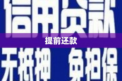 宣化提前还款