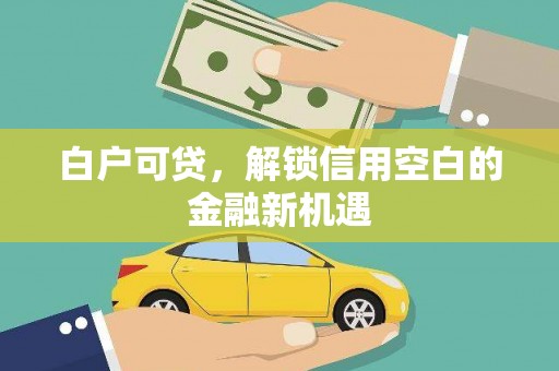 宣化白户可贷，解锁信用空白的金融新机遇