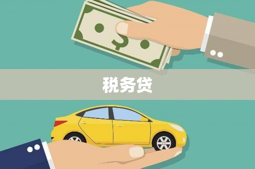 宣化税务贷