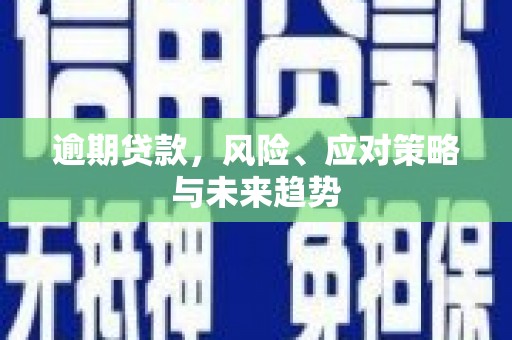 宣化逾期贷款，风险、应对策略与未来趋势