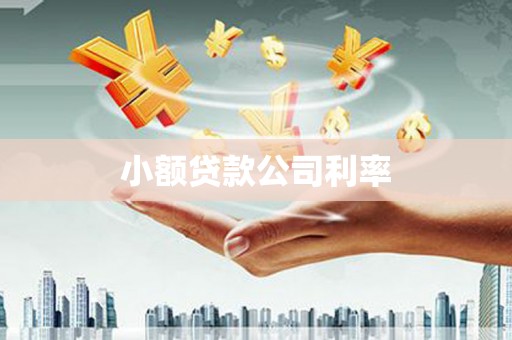 宣化小额贷款公司利率