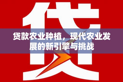 宣化贷款农业种植，现代农业发展的新引擎与挑战