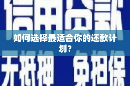 宣化如何选择最适合你的还款计划？