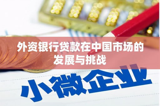 宣化外资银行贷款在中国市场的发展与挑战