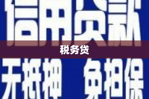 宣化税务贷