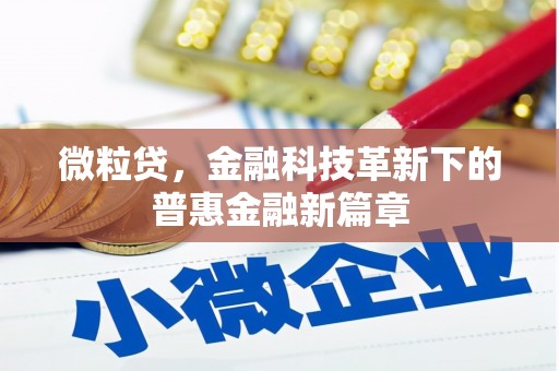宣化微粒贷，金融科技革新下的普惠金融新篇章