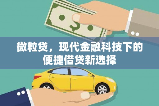宣化微粒贷，现代金融科技下的便捷借贷新选择